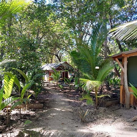 Fully Furnished Family Jungle Tent, Latino Glamping 파케라 외부 사진