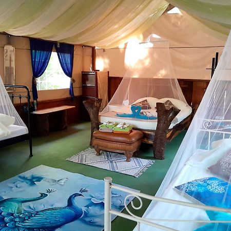 Fully Furnished Family Jungle Tent, Latino Glamping Paquera 호텔 외부 사진