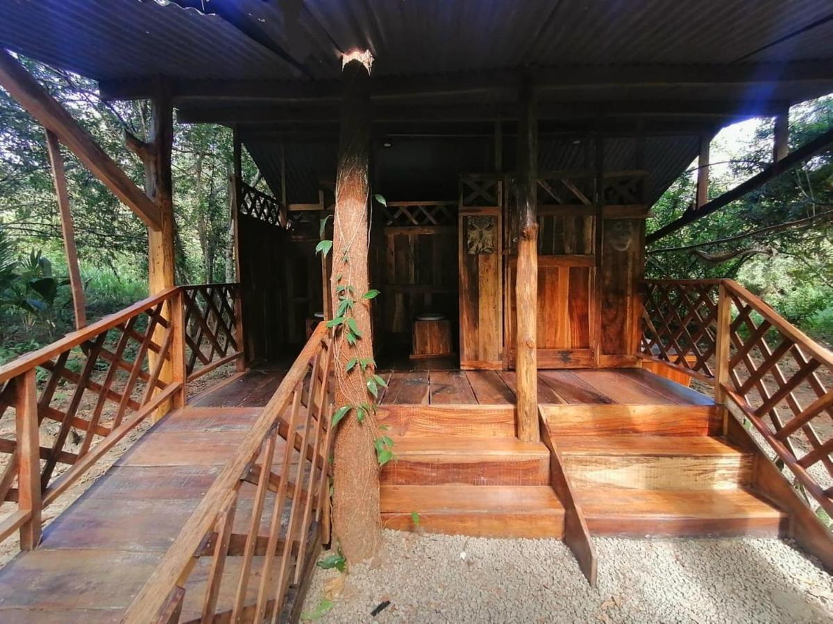 Fully Furnished Family Jungle Tent, Latino Glamping 파케라 외부 사진