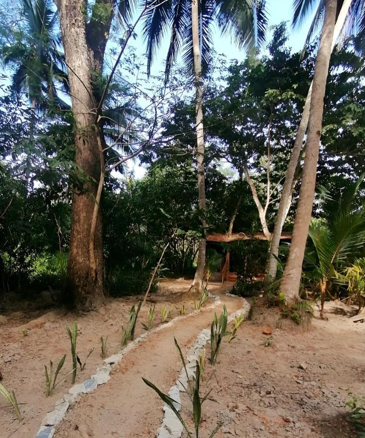 Fully Furnished Family Jungle Tent, Latino Glamping 파케라 외부 사진