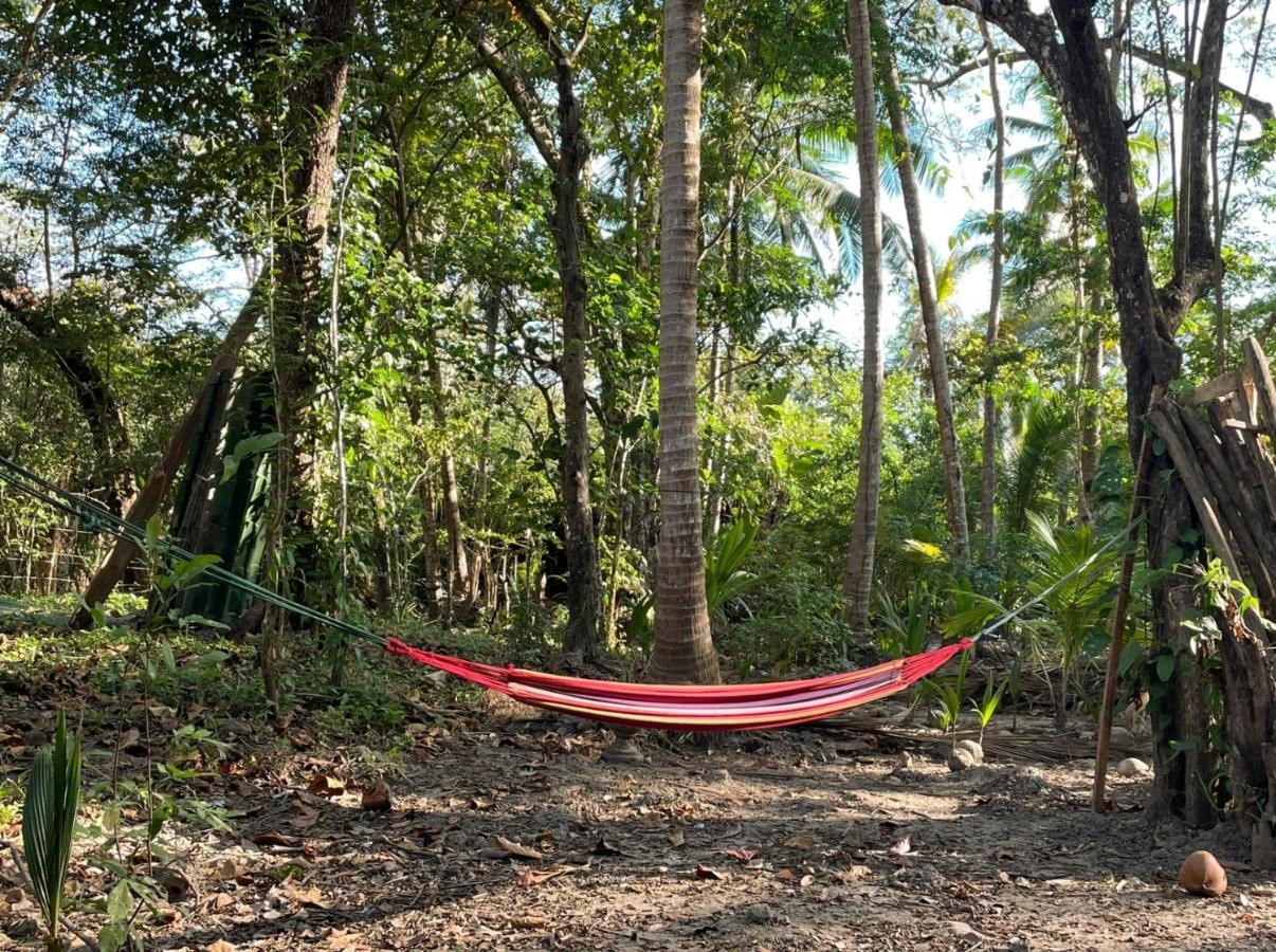 Fully Furnished Family Jungle Tent, Latino Glamping 파케라 외부 사진