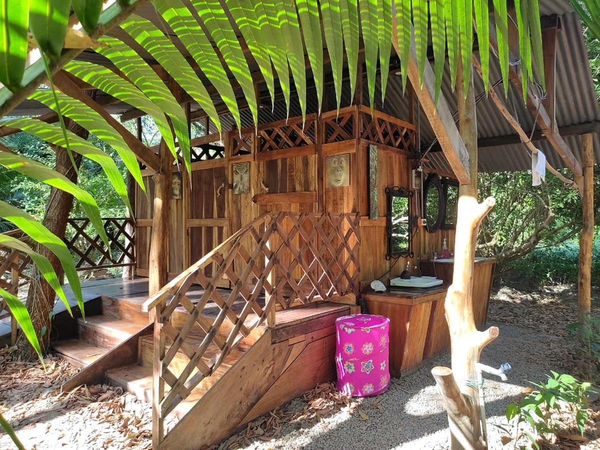 Fully Furnished Family Jungle Tent, Latino Glamping 파케라 외부 사진
