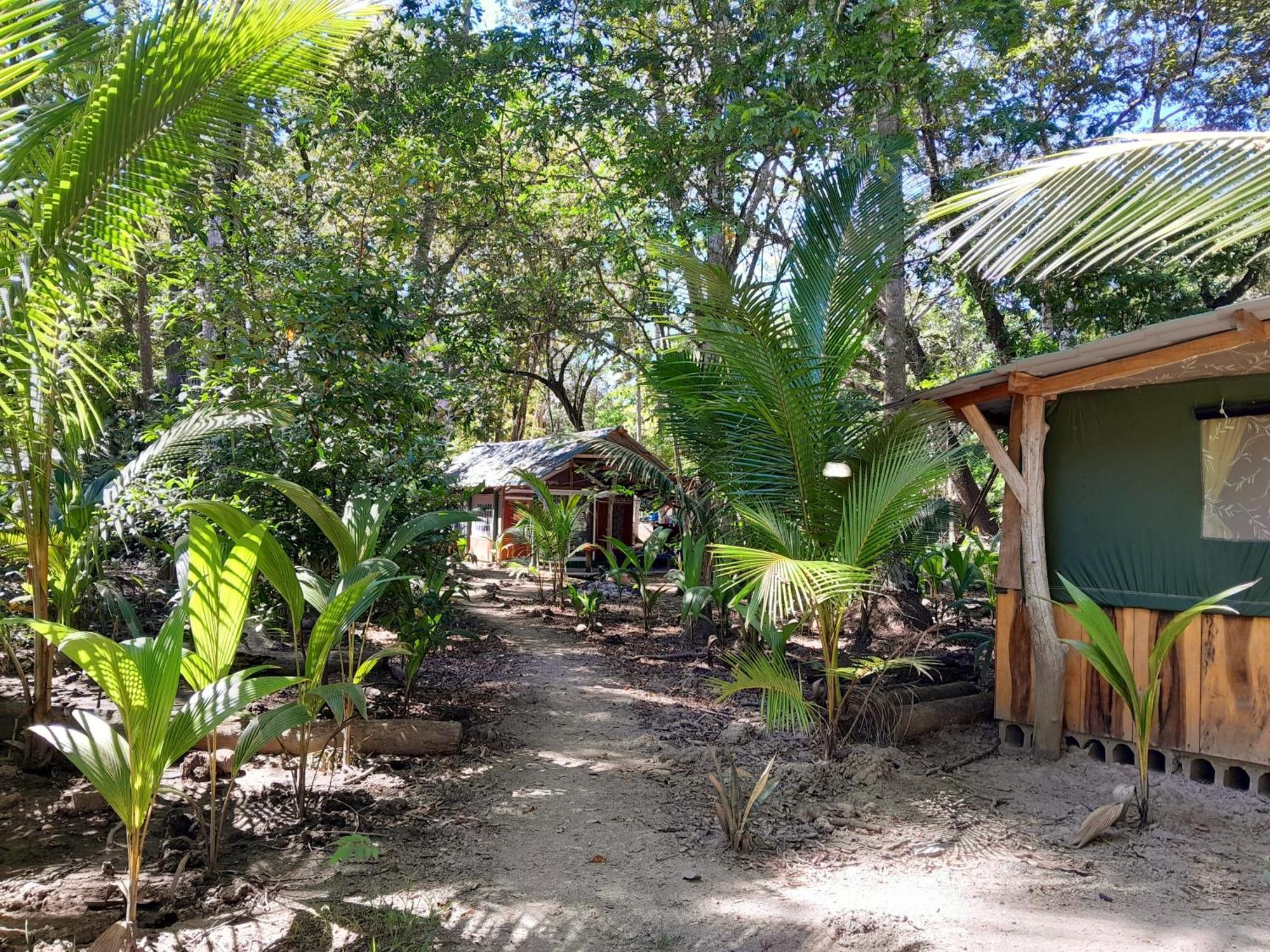 Fully Furnished Family Jungle Tent, Latino Glamping 파케라 외부 사진