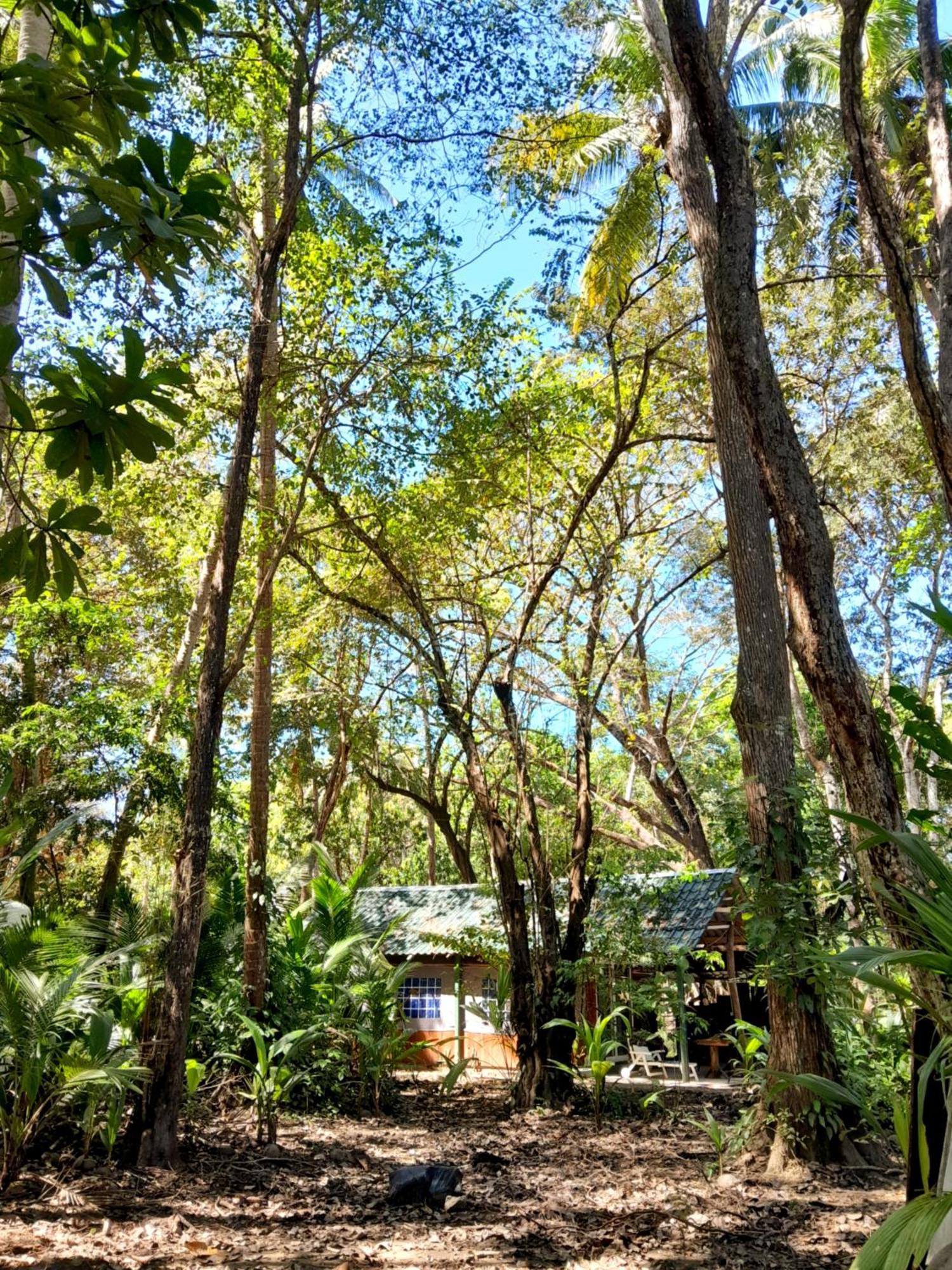 Fully Furnished Family Jungle Tent, Latino Glamping 파케라 외부 사진