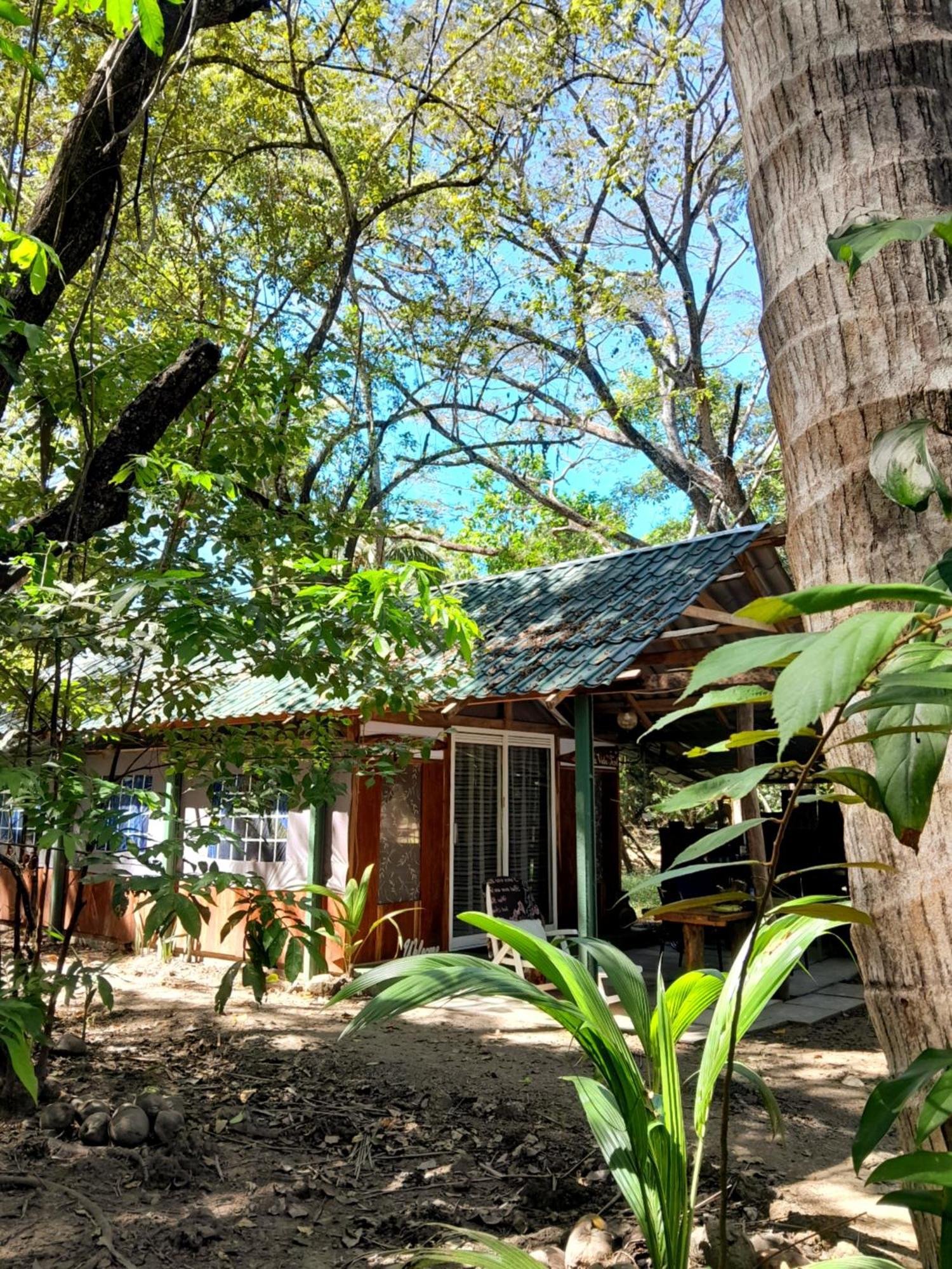 Fully Furnished Family Jungle Tent, Latino Glamping 파케라 외부 사진