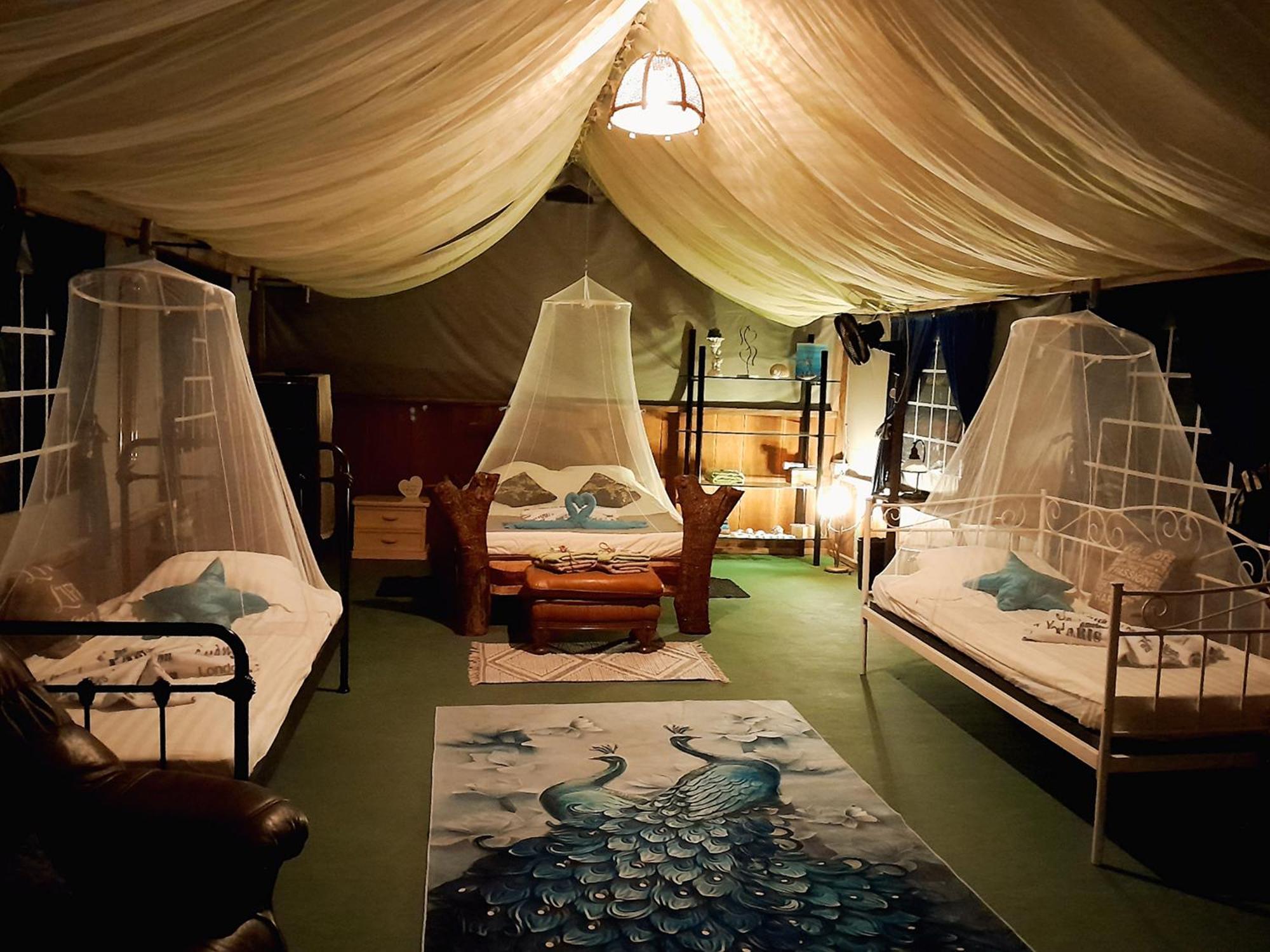 Fully Furnished Family Jungle Tent, Latino Glamping 파케라 외부 사진