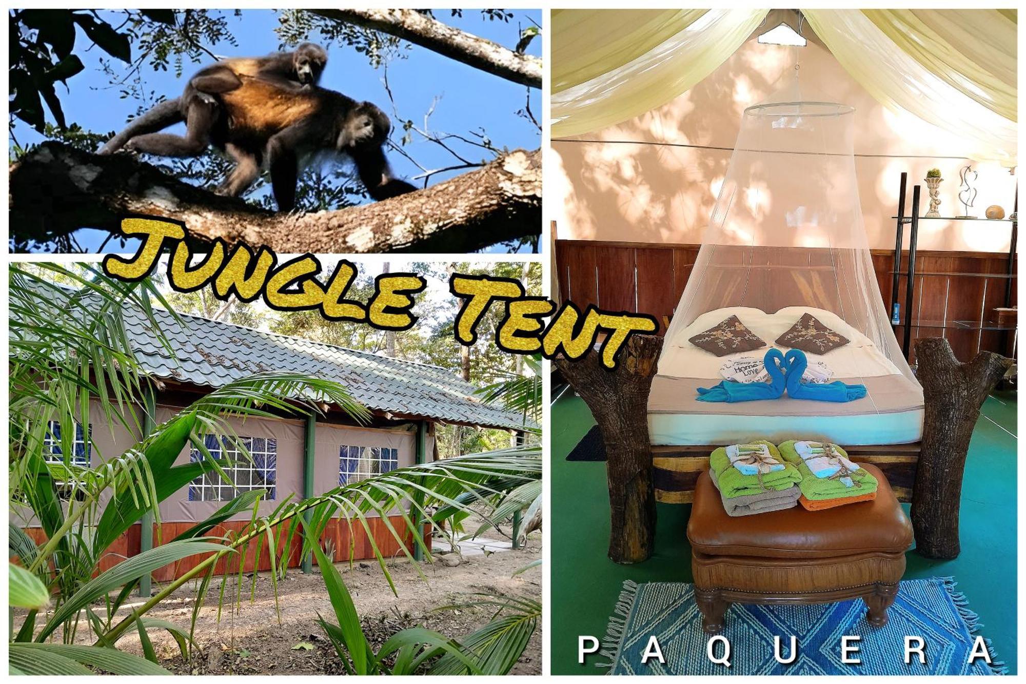 Fully Furnished Family Jungle Tent, Latino Glamping Paquera 호텔 외부 사진