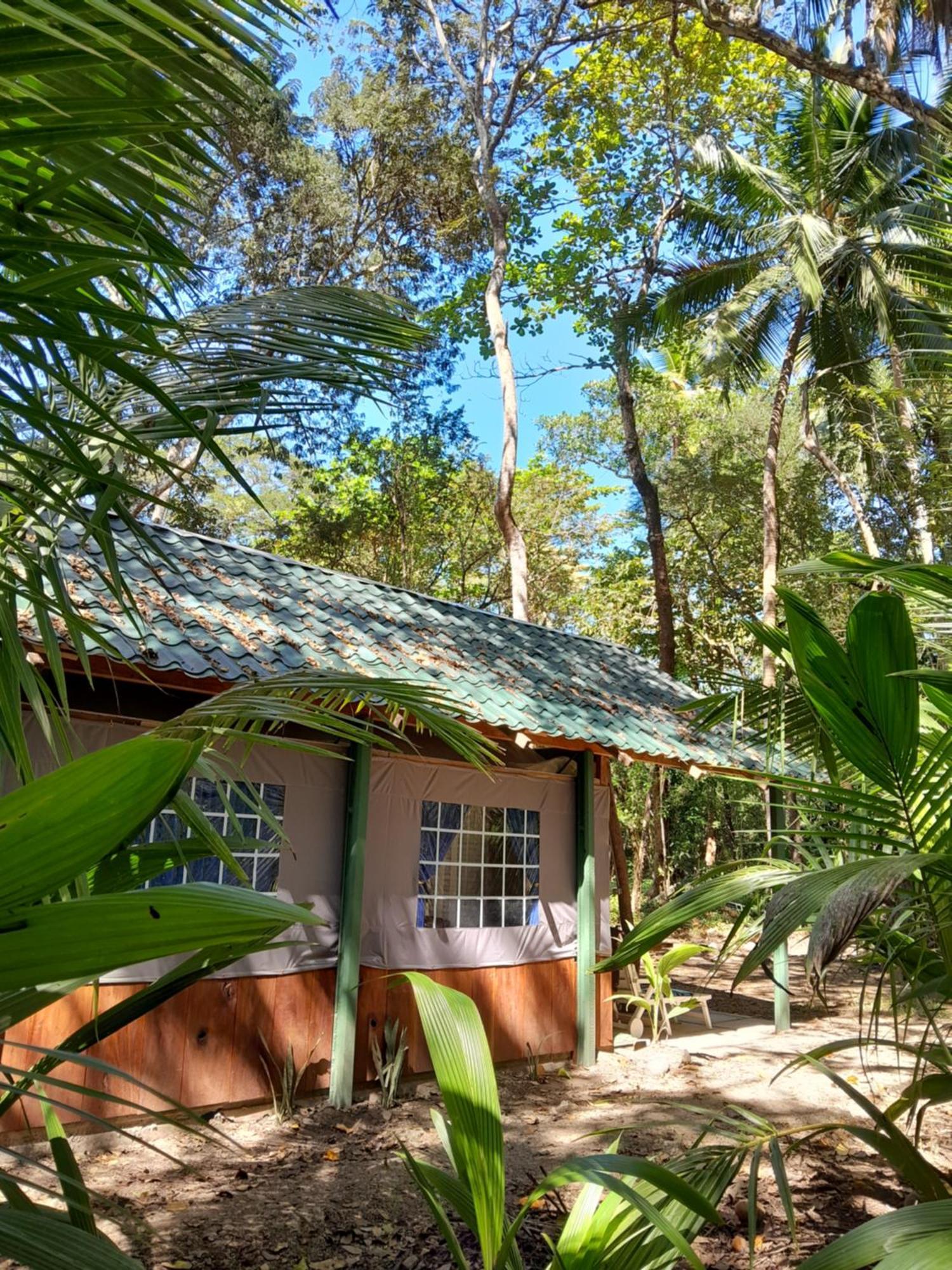 Fully Furnished Family Jungle Tent, Latino Glamping 파케라 외부 사진