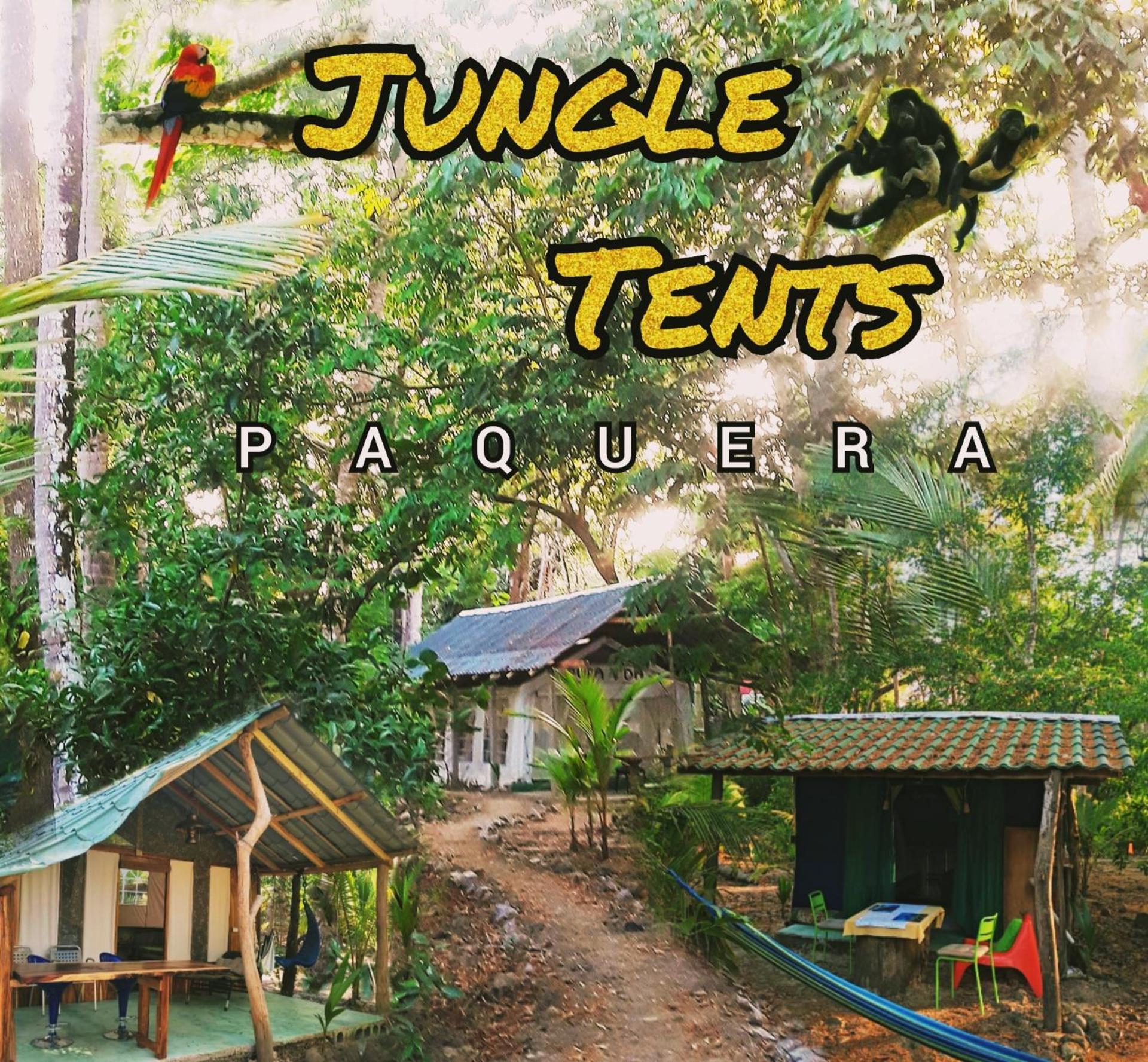 Fully Furnished Family Jungle Tent, Latino Glamping 파케라 외부 사진