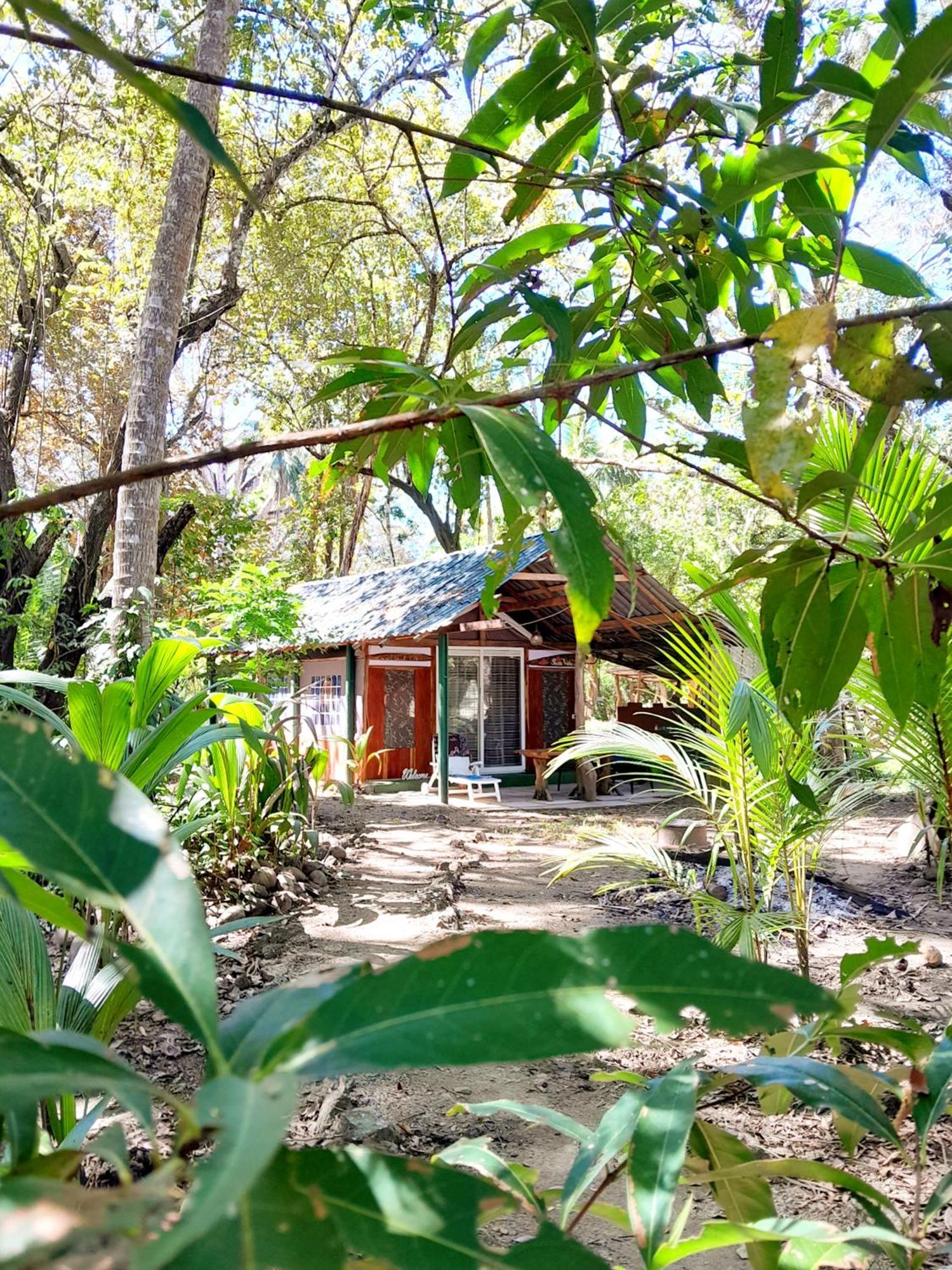 Fully Furnished Family Jungle Tent, Latino Glamping 파케라 외부 사진