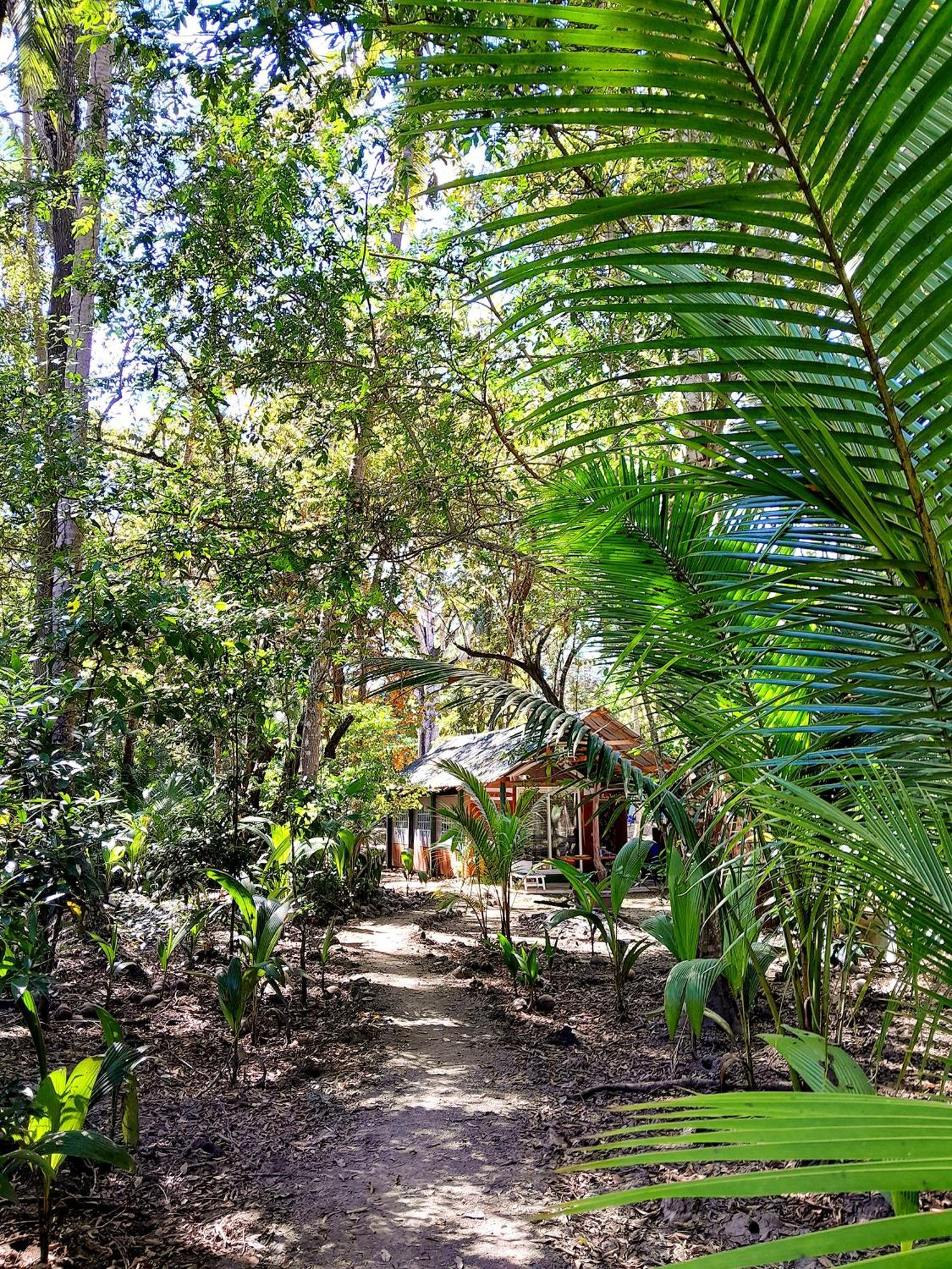 Fully Furnished Family Jungle Tent, Latino Glamping 파케라 외부 사진