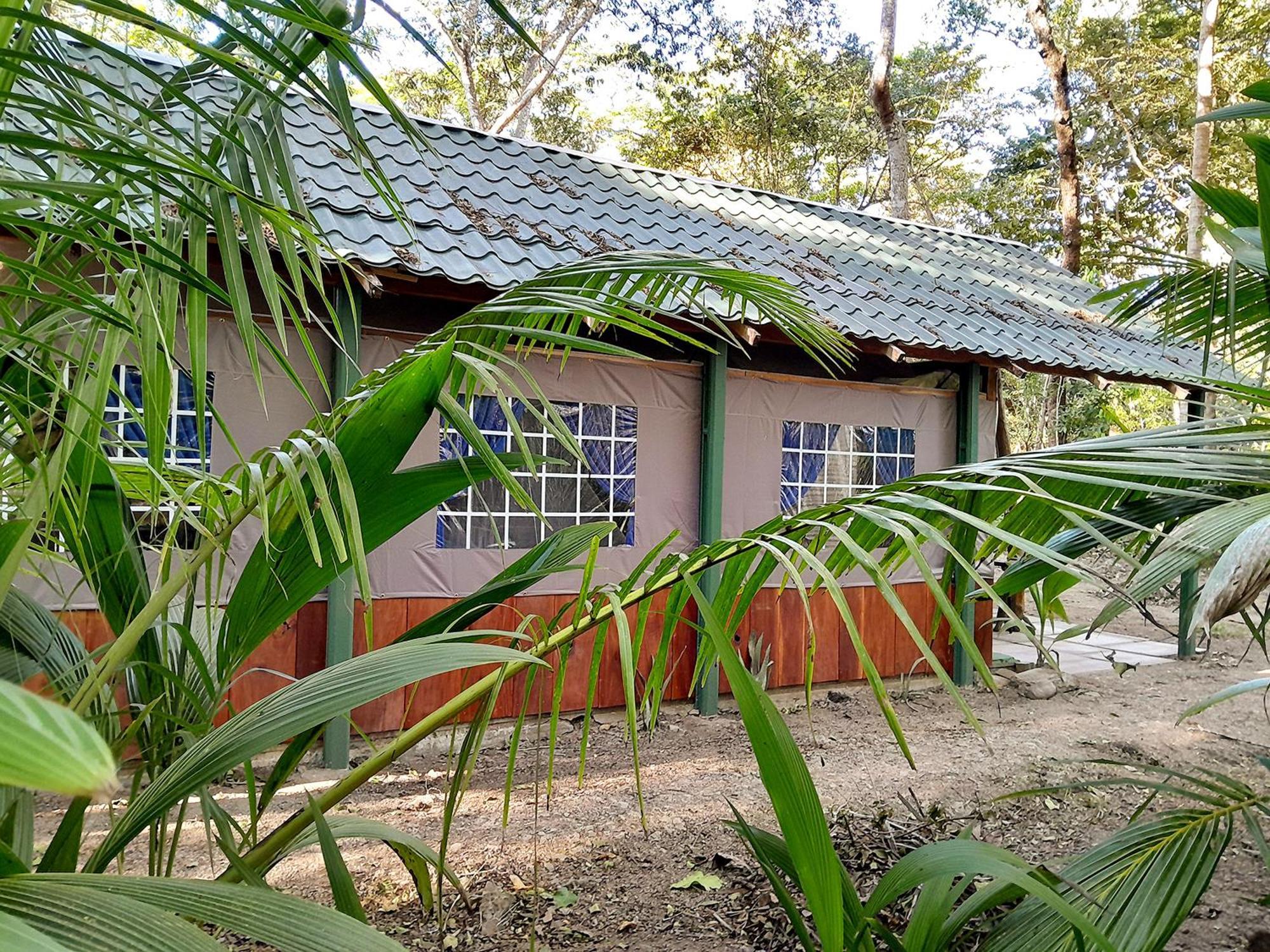 Fully Furnished Family Jungle Tent, Latino Glamping 파케라 외부 사진