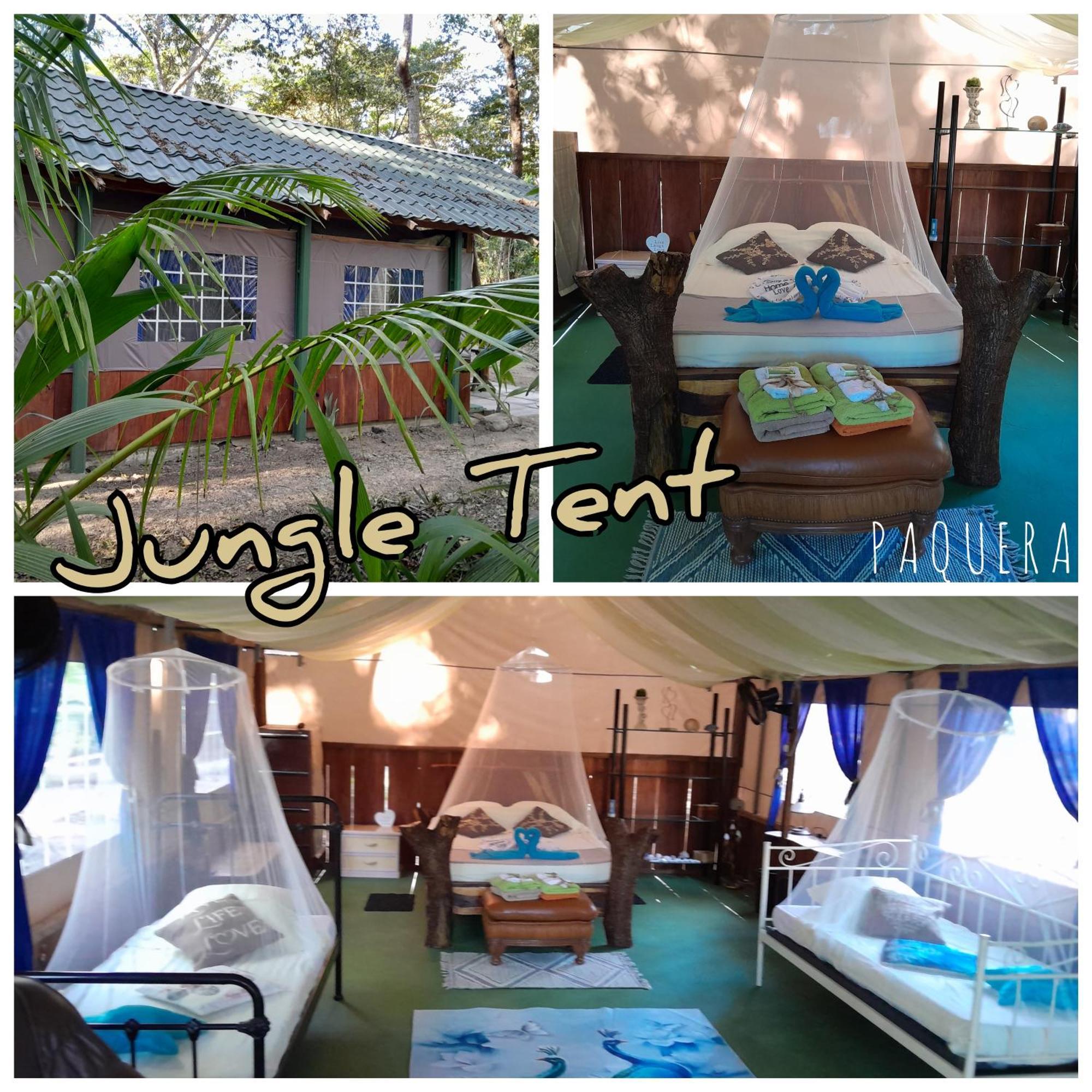 Fully Furnished Family Jungle Tent, Latino Glamping Paquera 호텔 외부 사진