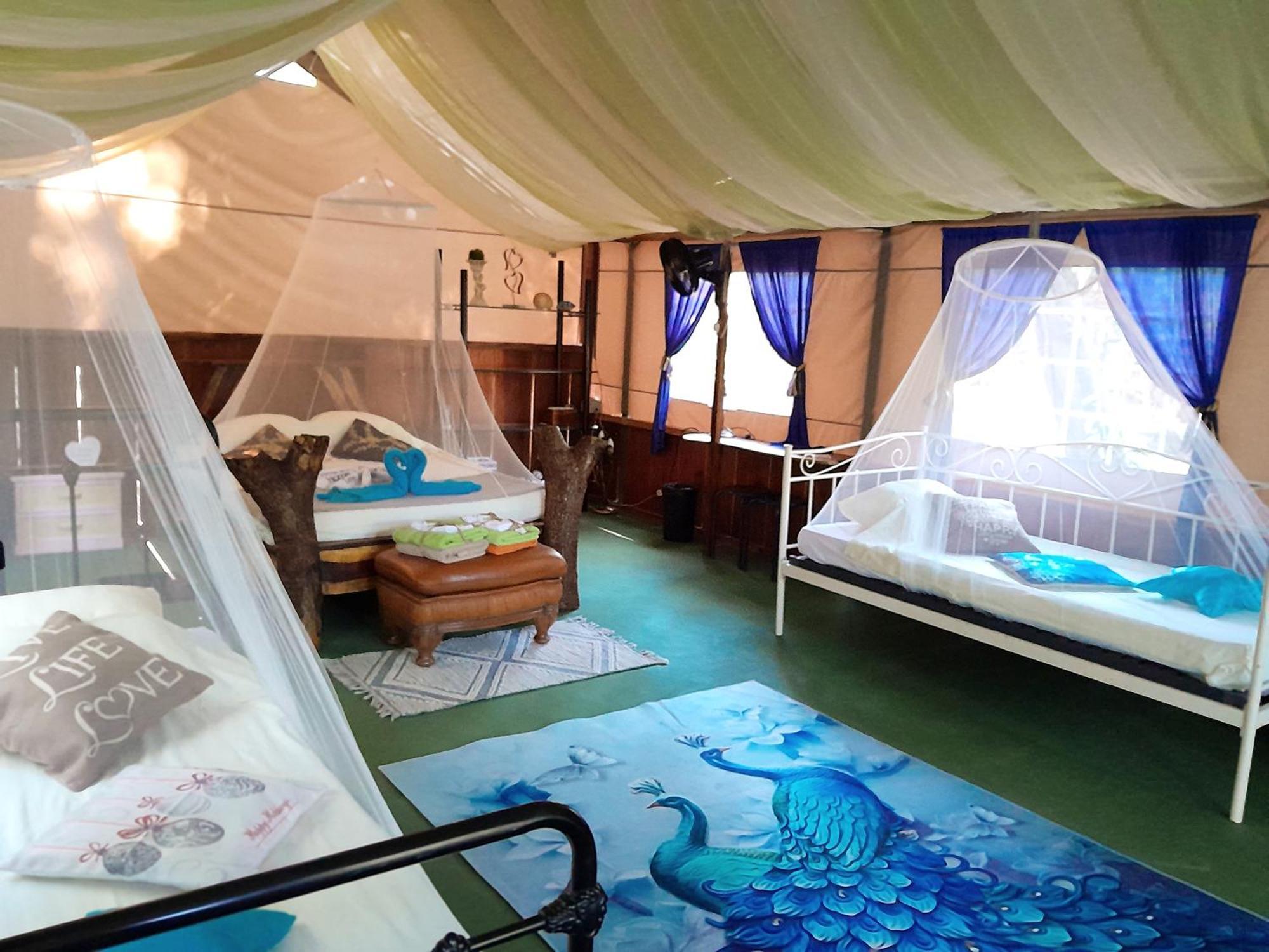 Fully Furnished Family Jungle Tent, Latino Glamping 파케라 외부 사진