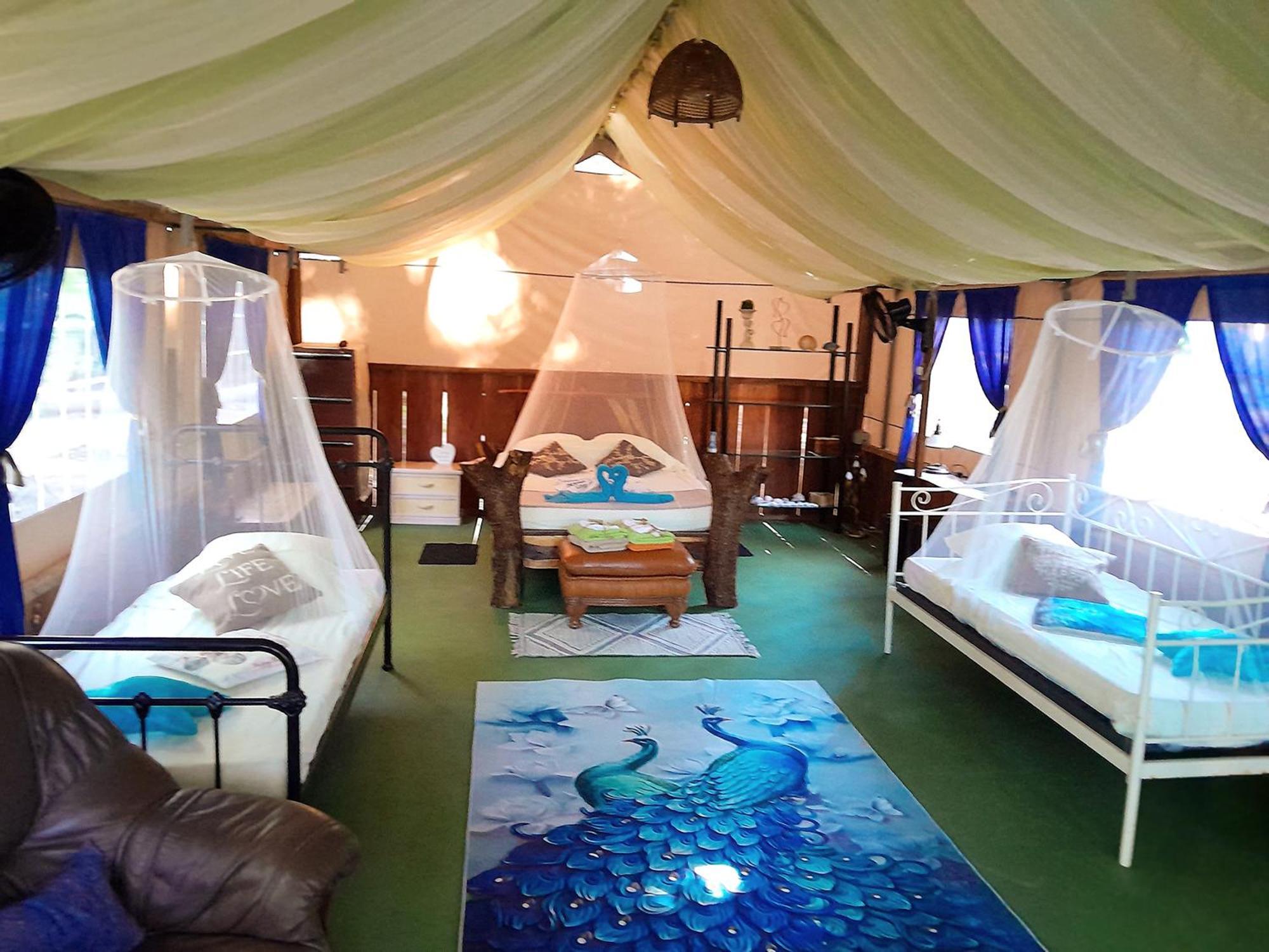 Fully Furnished Family Jungle Tent, Latino Glamping 파케라 외부 사진