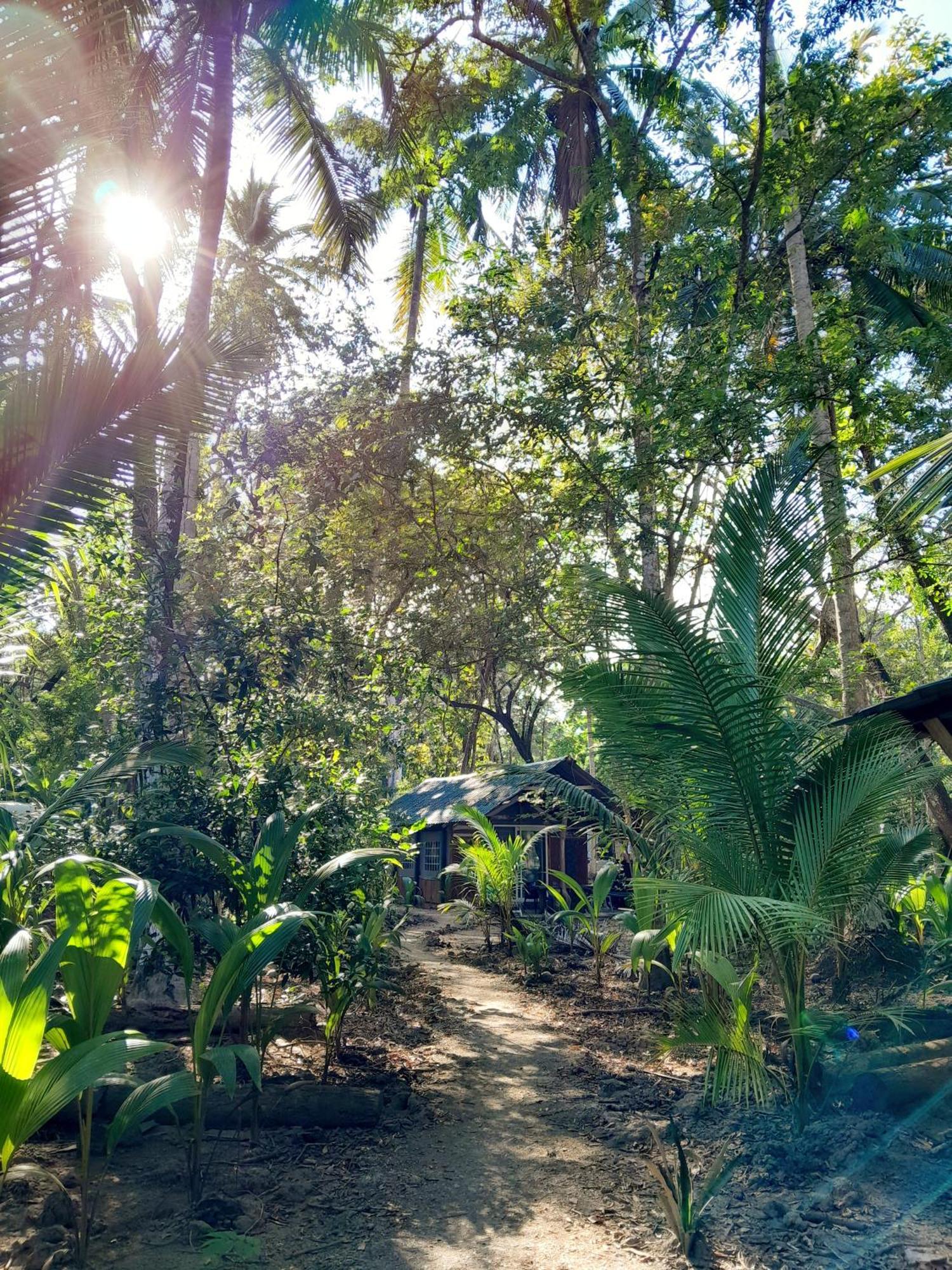 Fully Furnished Family Jungle Tent, Latino Glamping 파케라 외부 사진